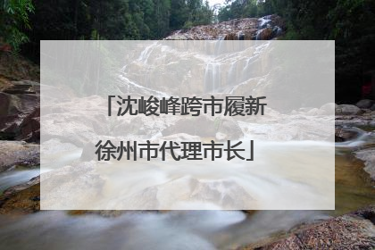 沈峻峰跨市履新徐州市代理市长