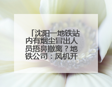 沈阳一地铁站内有烟尘冒出人员捂鼻撤离？地铁公司：风机开启致隧道灰尘飘散至站内