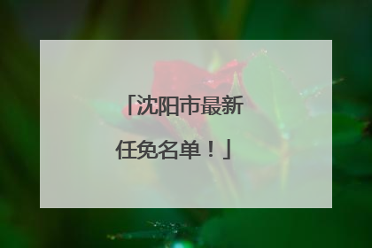 沈阳市最新任免名单！