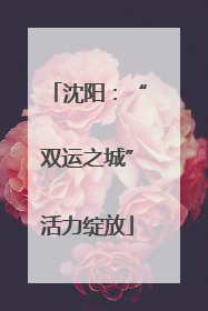 沈阳：“双运之城”活力绽放