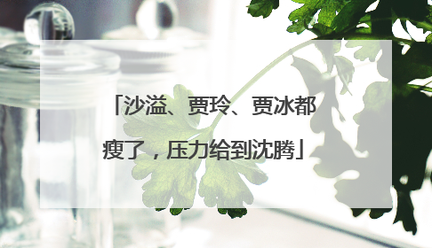沙溢、贾玲、贾冰都瘦了，压力给到沈腾