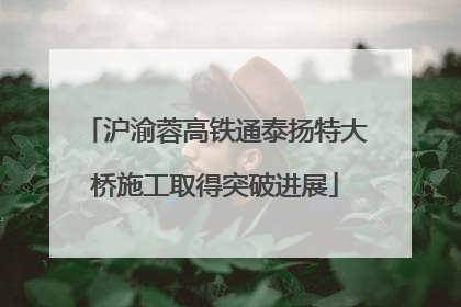 沪渝蓉高铁通泰扬特大桥施工取得突破进展