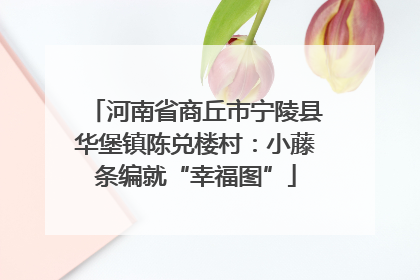 河南省商丘市宁陵县华堡镇陈兑楼村：小藤条编就“幸福图”