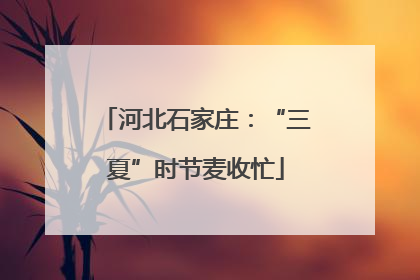 河北石家庄：“三夏”时节麦收忙