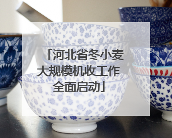 河北省冬小麦大规模机收工作全面启动