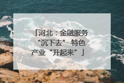 河北：金融服务“沉下去” 特色产业“升起来”