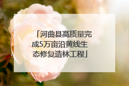 河曲县高质量完成5万亩沿黄线生态修复造林工程