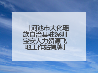 河池市大化瑶族自治县驻深圳宝安人力资源飞地工作站揭牌