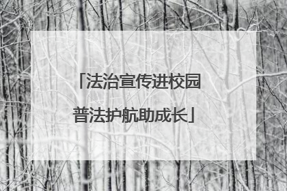 法治宣传进校园 普法护航助成长
