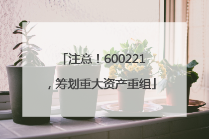 注意！600221，筹划重大资产重组