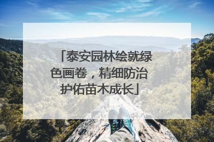 泰安园林绘就绿色画卷，精细防治护佑苗木成长