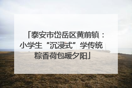 泰安市岱岳区黄前镇：小学生“沉浸式”学传统 粽香荷包暖夕阳