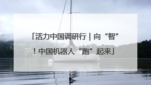 活力中国调研行｜向“智”！中国机器人“跑”起来