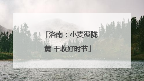 洛南：小麦覆陇黄 丰收好时节