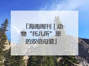 海南周刊｜动物“托儿所”里的双倍母爱