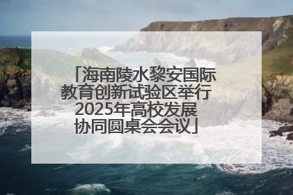 海南陵水黎安国际教育创新试验区举行2025年高校发展协同圆桌会会议