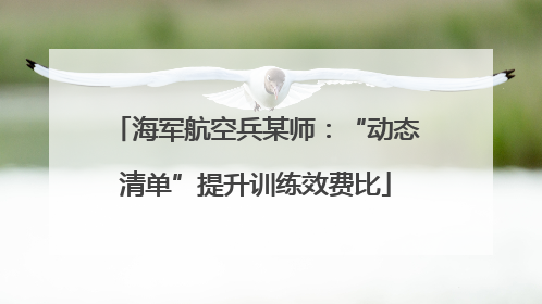 海军航空兵某师：“动态清单”提升训练效费比