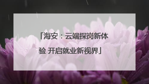 海安：云端探岗新体验 开启就业新视界
