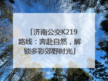 济南公交K219路线：奔赴自然，解锁多彩郊野时光