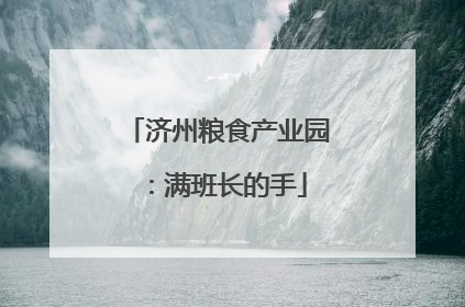 济州粮食产业园：满班长的手