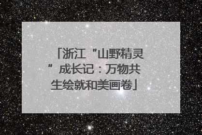 浙江“山野精灵”成长记：万物共生绘就和美画卷