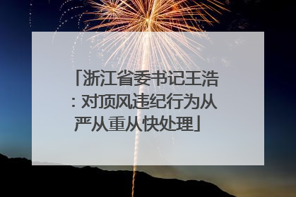 浙江省委书记王浩：对顶风违纪行为从严从重从快处理