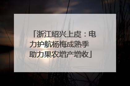 浙江绍兴上虞：电力护航杨梅成熟季 助力果农增产增收
