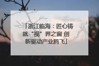 浙江临海：匠心铸就“视”界之窗 创新驱动产业腾飞