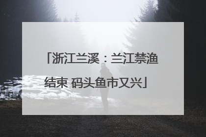 浙江兰溪：兰江禁渔结束 码头鱼市又兴