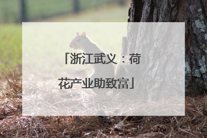 浙江武义：荷花产业助致富