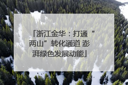 浙江金华：打通“两山”转化通道 澎湃绿色发展动能