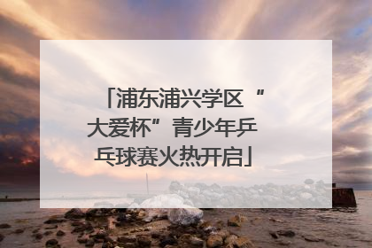 浦东浦兴学区“大爱杯”青少年乒乓球赛火热开启