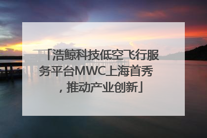 浩鲸科技低空飞行服务平台MWC上海首秀，推动产业创新