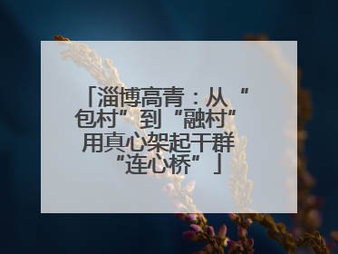 淄博高青：从“包村”到“融村” 用真心架起干群“连心桥”