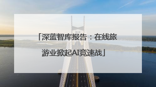 深蓝智库报告：在线旅游业掀起AI竞速战