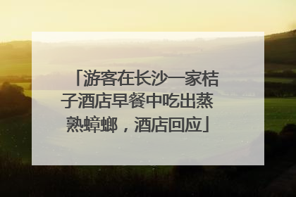 游客在长沙一家桔子酒店早餐中吃出蒸熟蟑螂，酒店回应