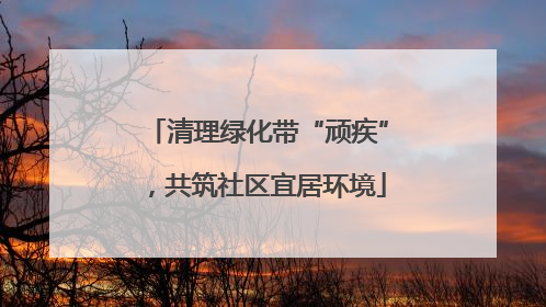 清理绿化带“顽疾”，共筑社区宜居环境