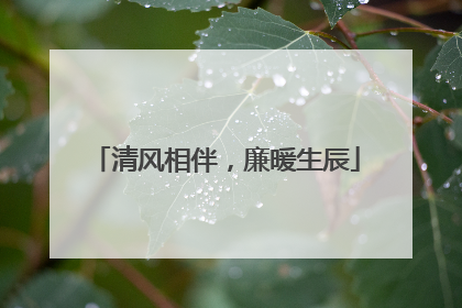 清风相伴，廉暖生辰