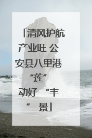 清风护航产业旺 公安县八里港 “莲” 动好 “丰” 景
