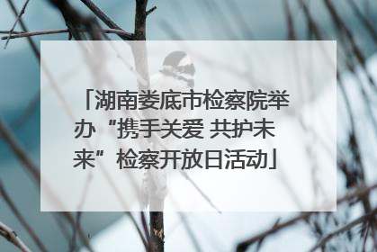 湖南娄底市检察院举办“携手关爱 共护未来”检察开放日活动