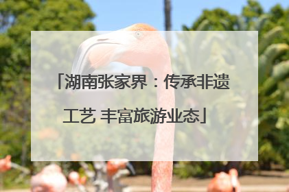 湖南张家界：传承非遗工艺 丰富旅游业态