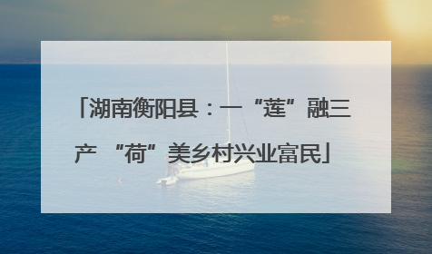 湖南衡阳县：一“莲”融三产 “荷”美乡村兴业富民