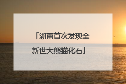 湖南首次发现全新世大熊猫化石
