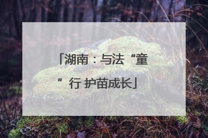 湖南：与法“童”行 护苗成长