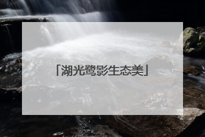 湖光鹭影生态美