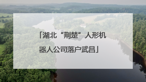 湖北“荆楚”人形机器人公司落户武昌