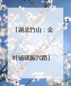 湖北竹山：金叶铺就振兴路