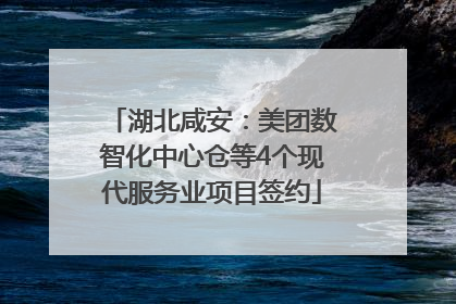 湖北咸安：美团数智化中心仓等4个现代服务业项目签约