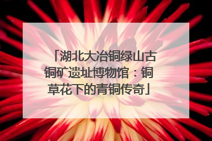 湖北大冶铜绿山古铜矿遗址博物馆：铜草花下的青铜传奇