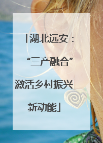 湖北远安：“三产融合”激活乡村振兴新动能